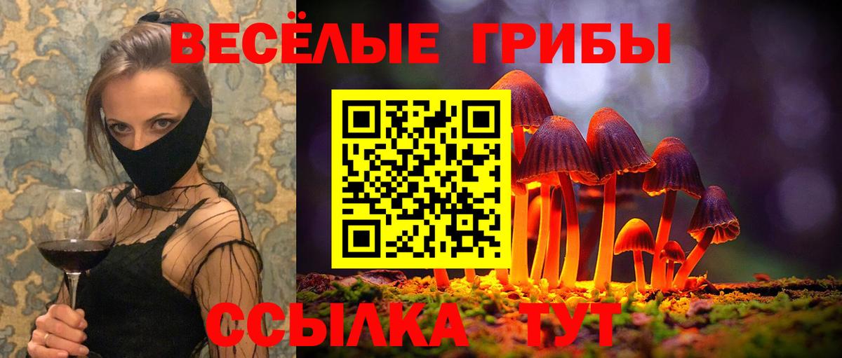 Улан-Удэ  Псилоцибиновые грибы прущие грибы  Вход с VPN 